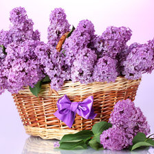 Схема вышивки «№609378»