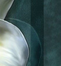 Схема вышивки «№609390»