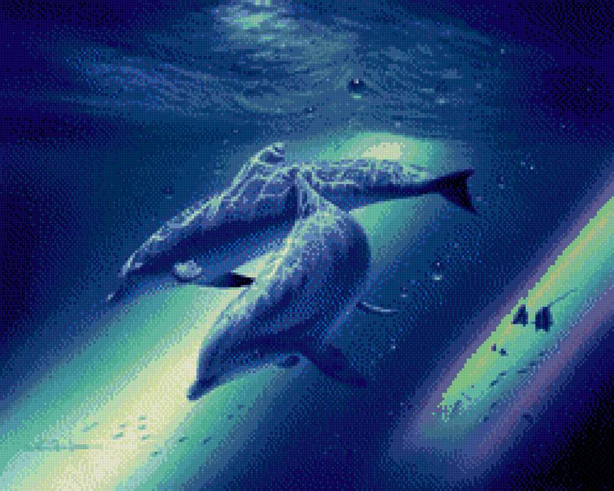 дельфины - предпросмотр