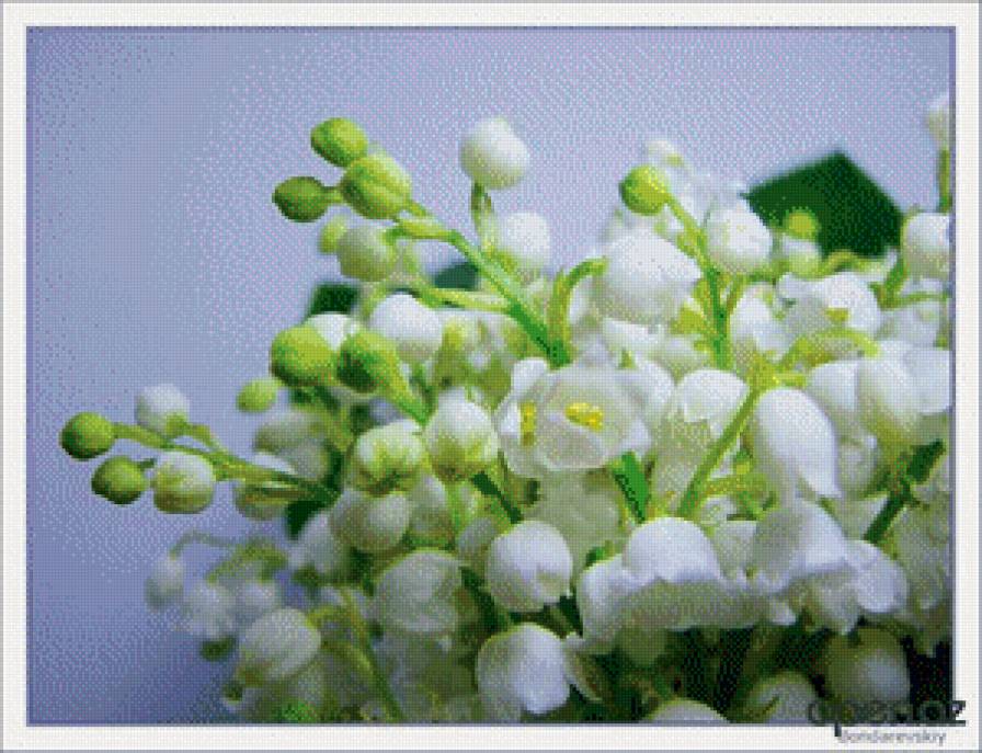 №609420 - предпросмотр