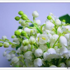 Схема вышивки «№609420»