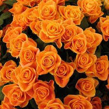 Схема вышивки «№609423»