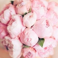 Схема вышивки «№609429»