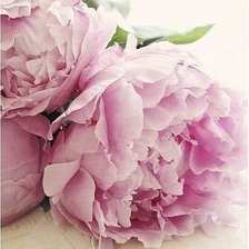 Схема вышивки «№609430»