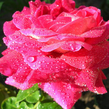 Схема вышивки «№609434»