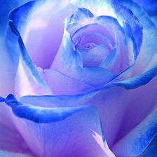 Схема вышивки «№609436»