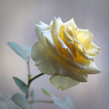 Схема вышивки «№609493»