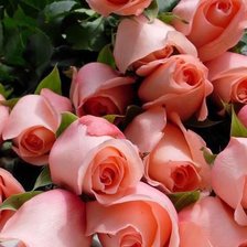 Схема вышивки «№609498»