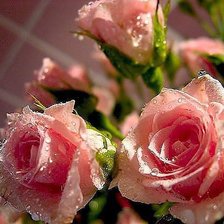 Схема вышивки «№609519»