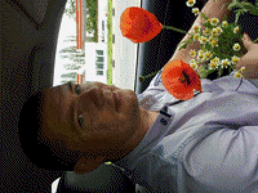 муж - нет - предпросмотр