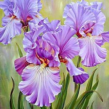 Схема вышивки «Красивые ирисы»