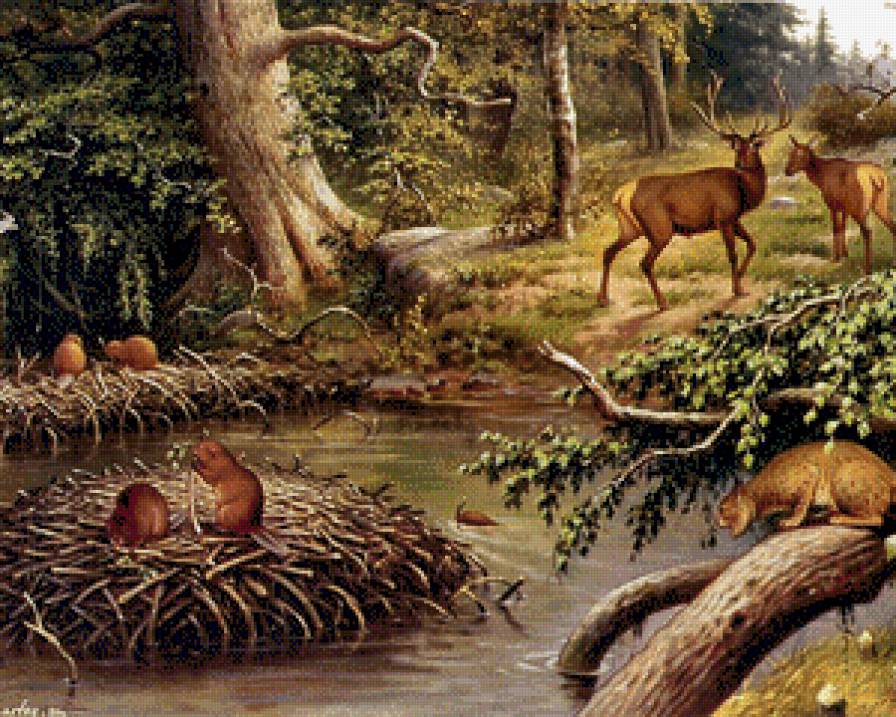 лесные звери - животные, лес - предпросмотр