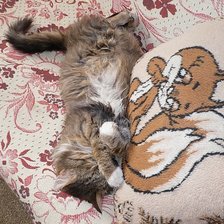 Схема вышивки «пушок»