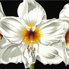 Схема вышивки «№609798»