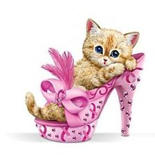 котенок и туфли