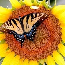 Схема вышивки «№610098»