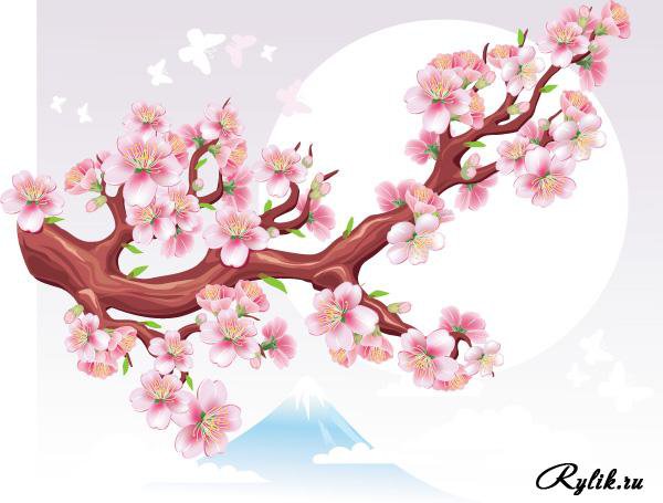 Сакура - дерево, сакура, цветы, восток - оригинал