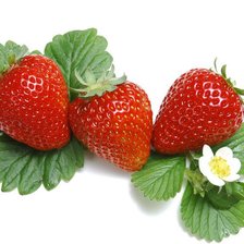 Схема вышивки «№610263»