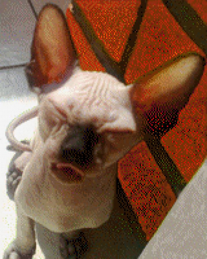 кнопка - предпросмотр