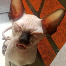 Схема вышивки «кнопка»