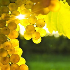 Схема вышивки «№610346»