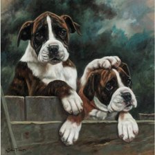 Схема вышивки «а я главнее»