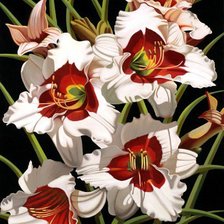 Схема вышивки «цветы»