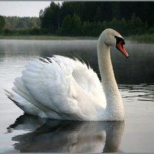 Схема вышивки «лебедь»