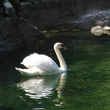 Схема вышивки «лебеди»