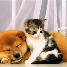 Схема вышивки «дружба»