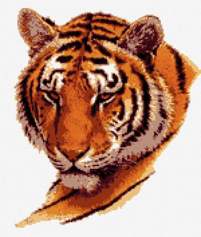 Тигр - полосатый, тигр, кошки, дикие животные - предпросмотр