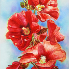 Схема вышивки «цветы»