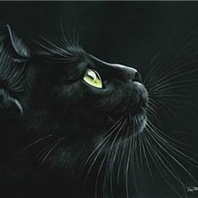 Схема вышивки «серия "Кошки" 4»