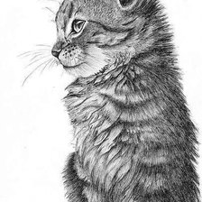 Схема вышивки «cat3»