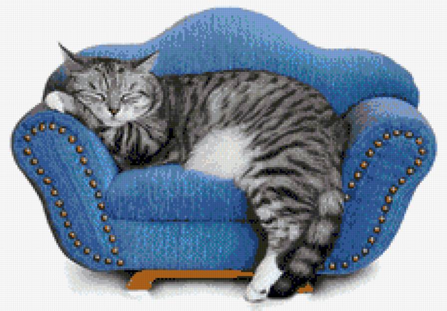 Неженка - уют, кошки, домашние животные, дом - предпросмотр