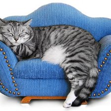 Схема вышивки «Неженка»