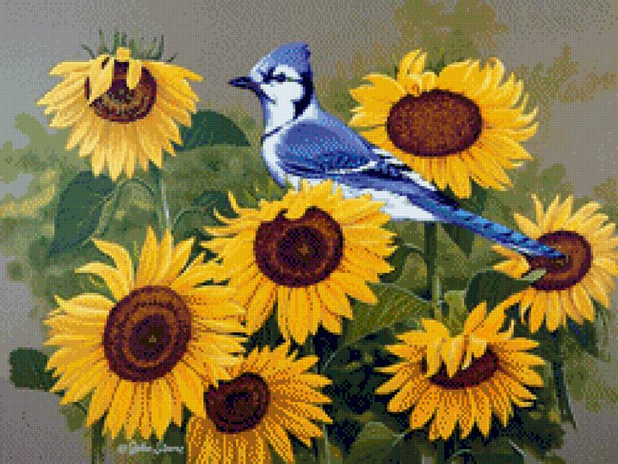 Птицы на подсолнухах - предпросмотр