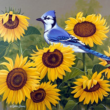 Схема вышивки «Птицы на подсолнухах»