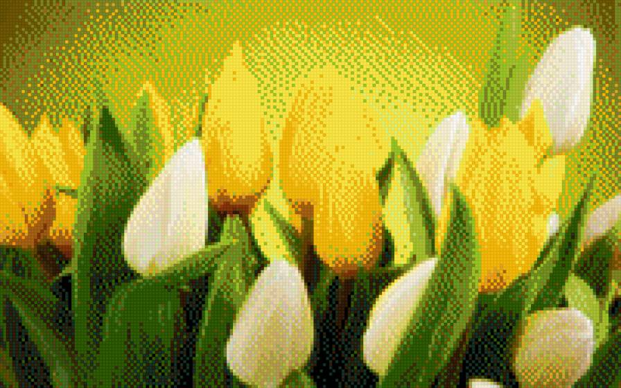 Тюльпаны - цветы, желтые, тюльпаны, весна - предпросмотр