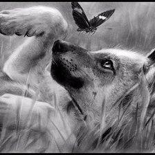 Схема вышивки «№611451»