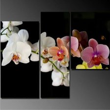 Схема вышивки «orhidee»