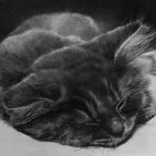 Схема вышивки «Кот»