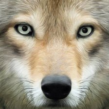 Схема вышивки «№611599»