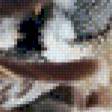 Предпросмотр схемы вышивки «Сова» (№611741)