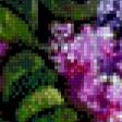 Предпросмотр схемы вышивки «сирень» (№611762)