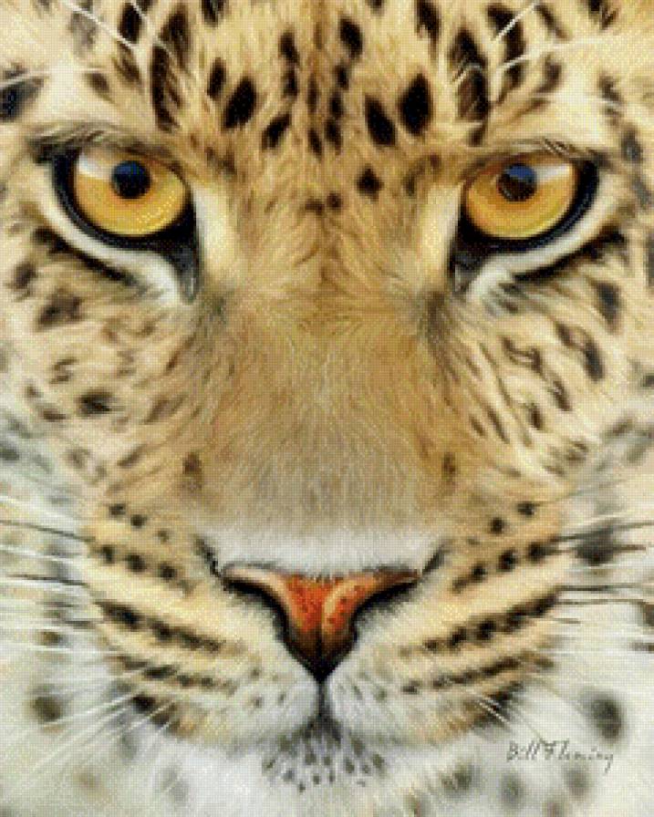 №611831 - животное, леопард - предпросмотр