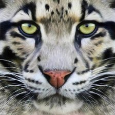 Схема вышивки «№611840»