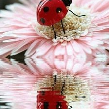 Схема вышивки «№611846»