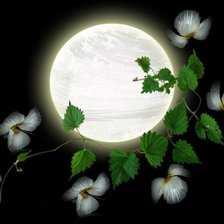 Схема вышивки «№611881»