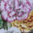 Предпросмотр схемы вышивки «Натюрморт» (№611940)
